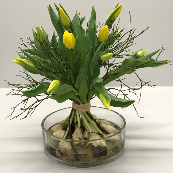 Stehender Tulpenstrauß mit Zwiebel in versch. Farben Bild 1