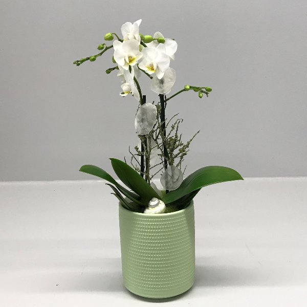 Orchidee in Keramik Bild 1
