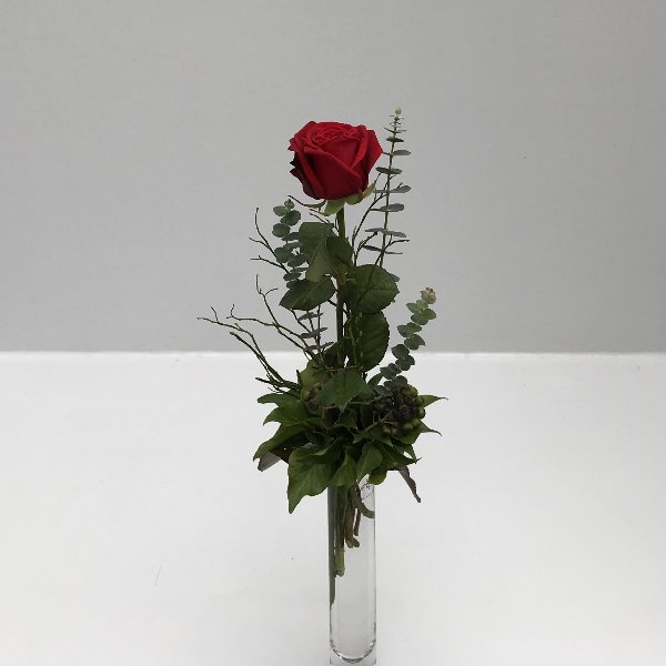 "Nur" eine Rose Bild 2