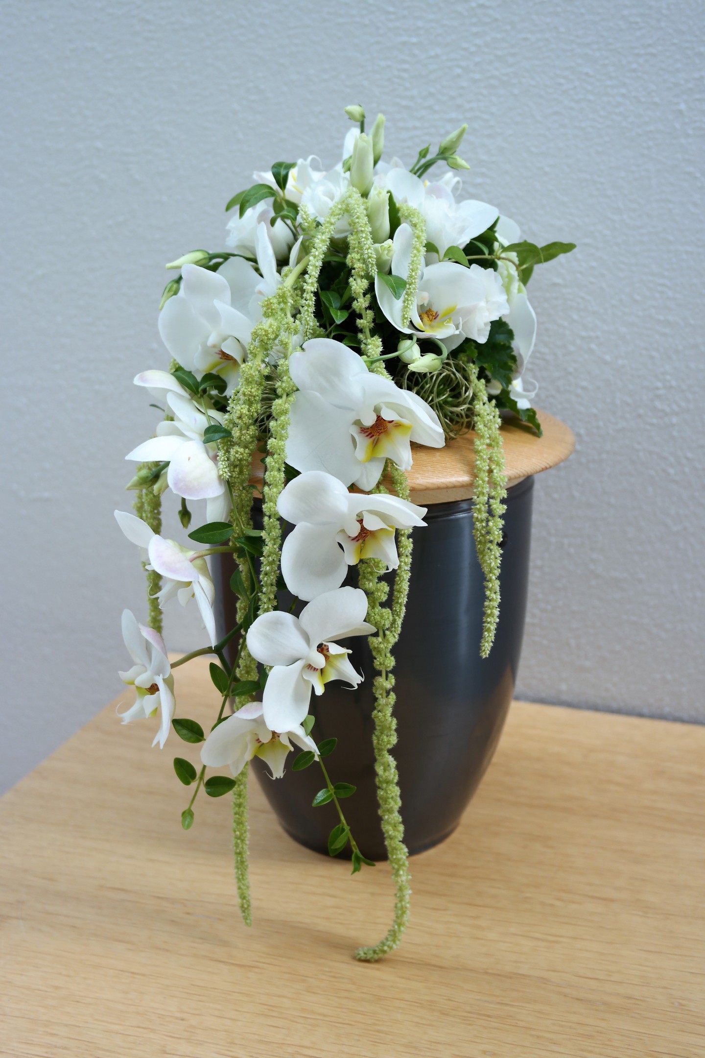 Weiße Orchidee Bild 2