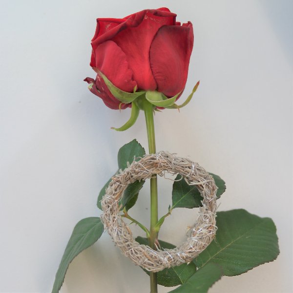 Rose mit Ring Bild 1