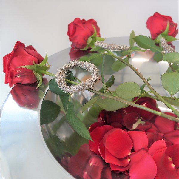Rose mit Ring Bild 2